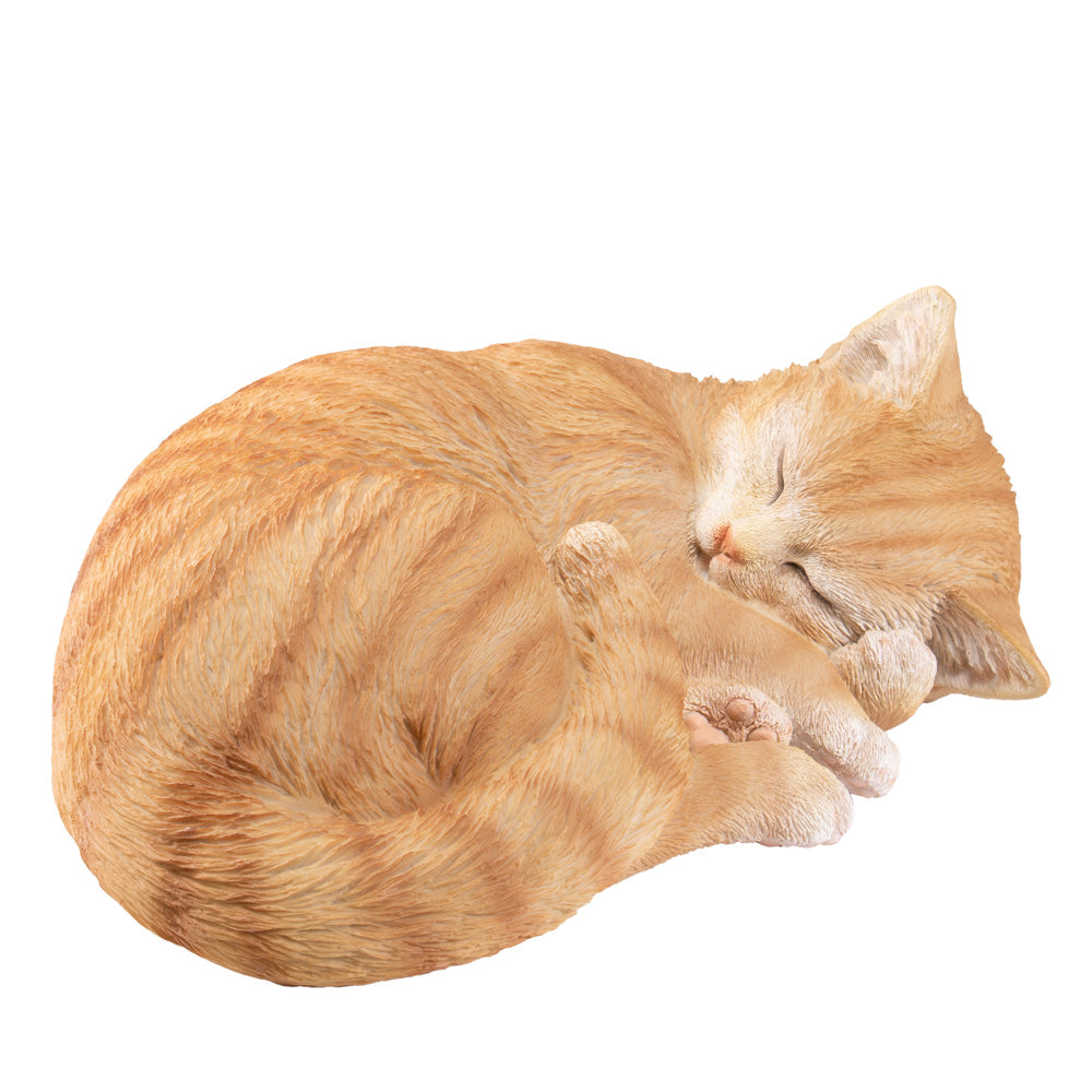 Dieren urn