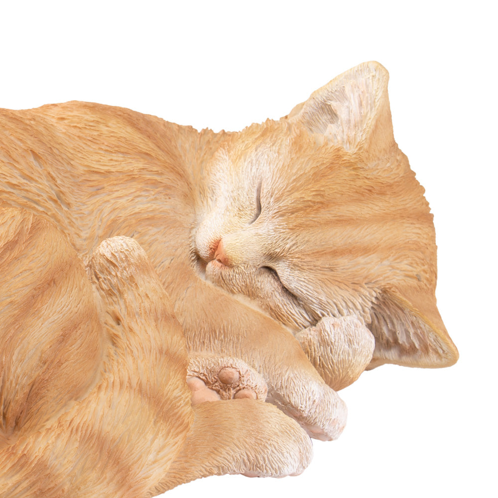 Dieren urn