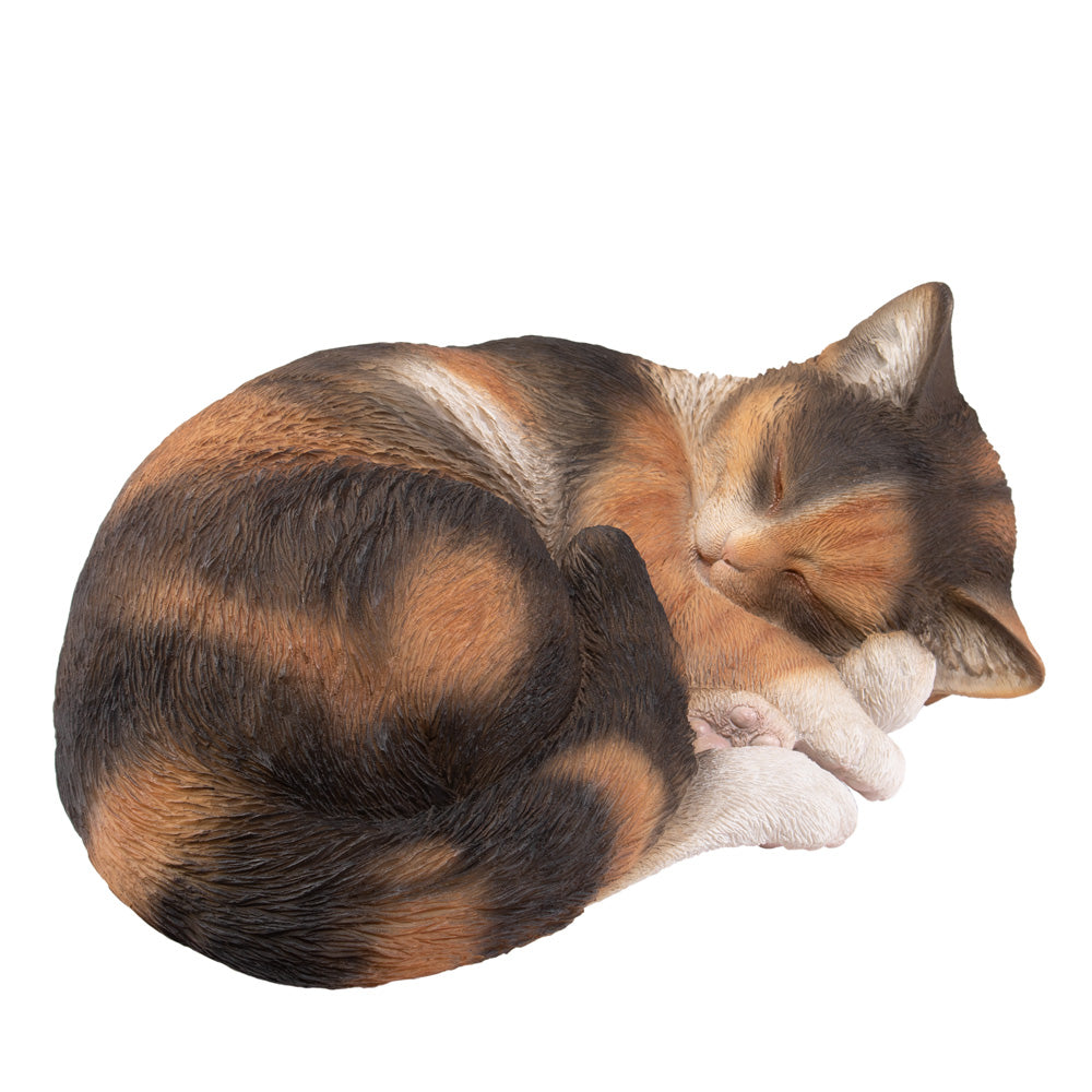Dieren urn