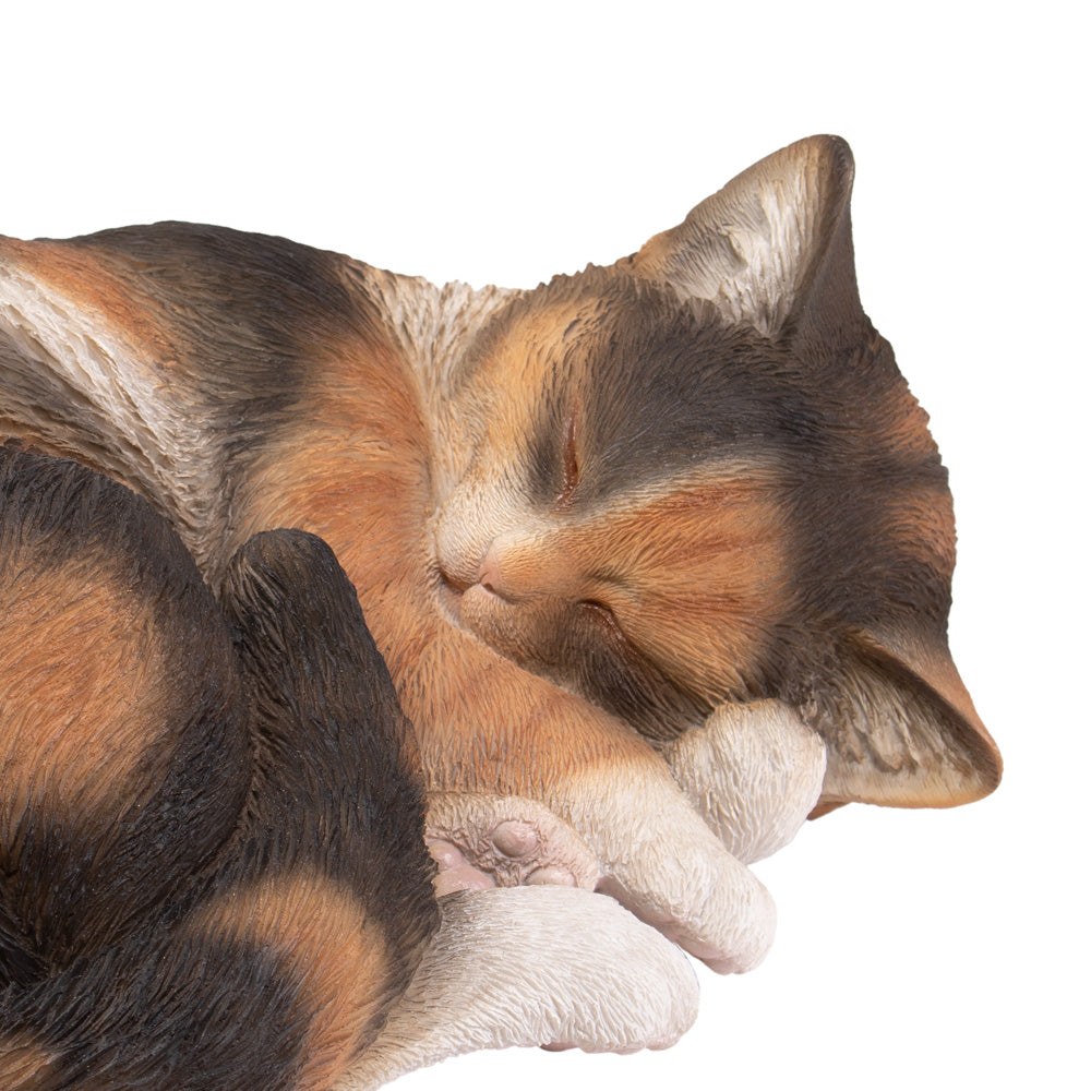 Dieren urn