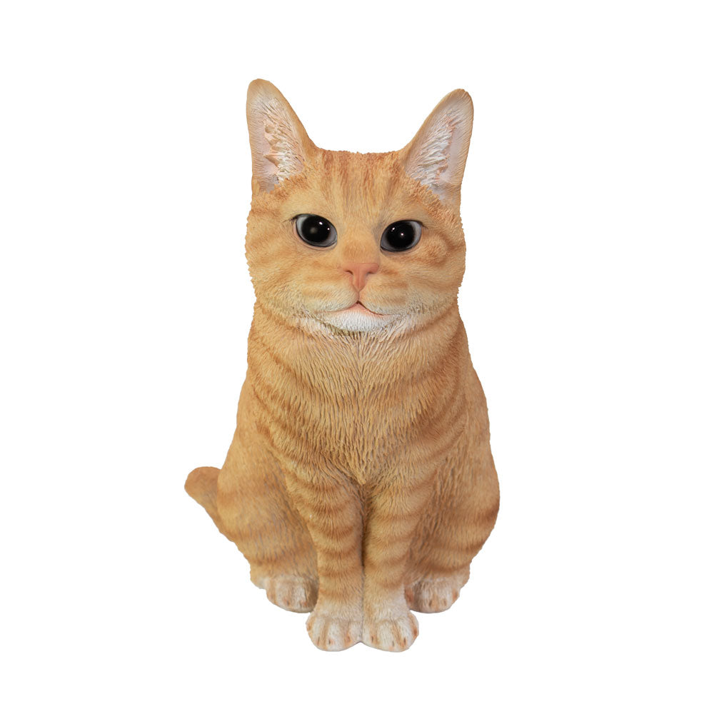 Dieren urn