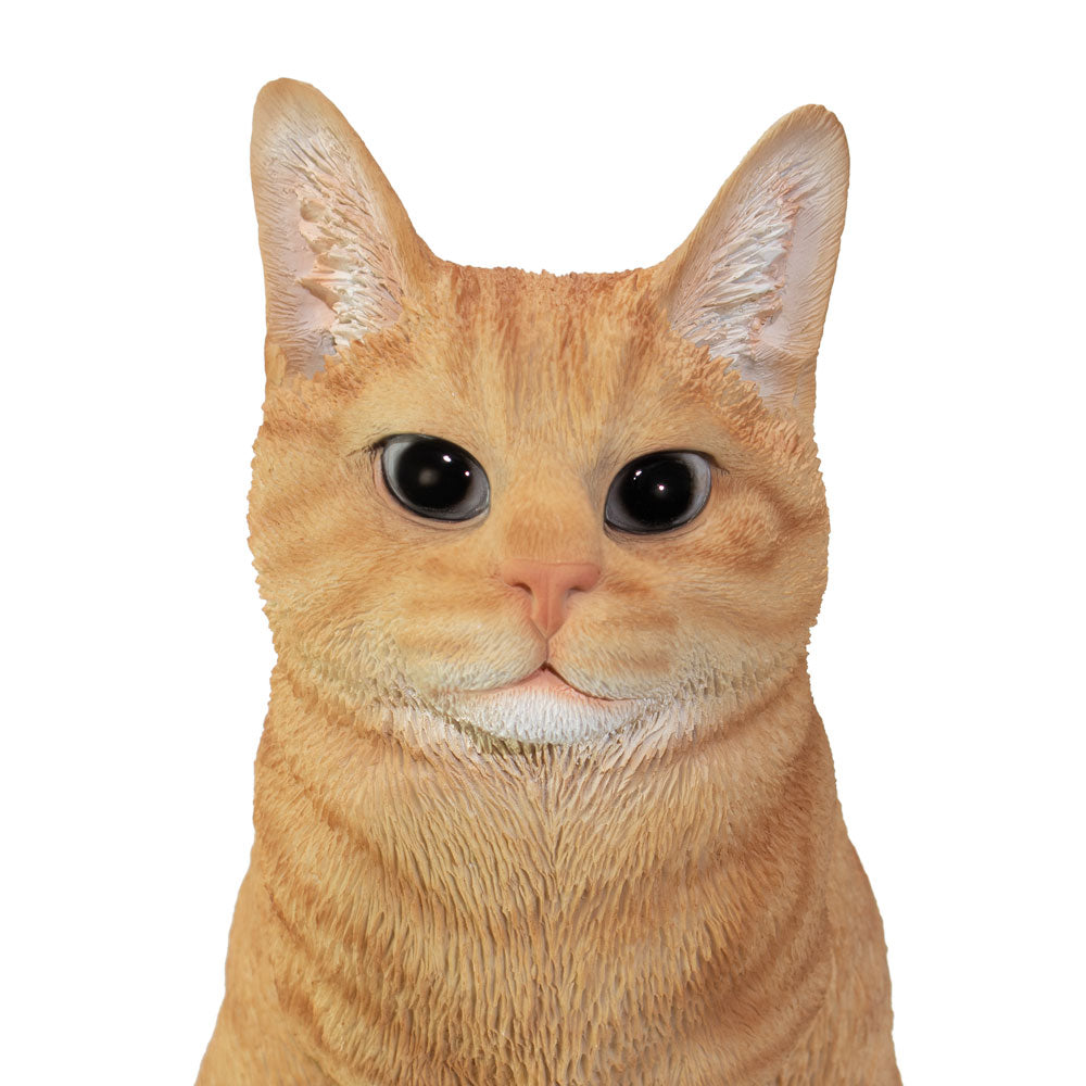 Dieren urn