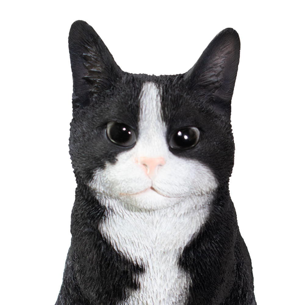 Dieren urn