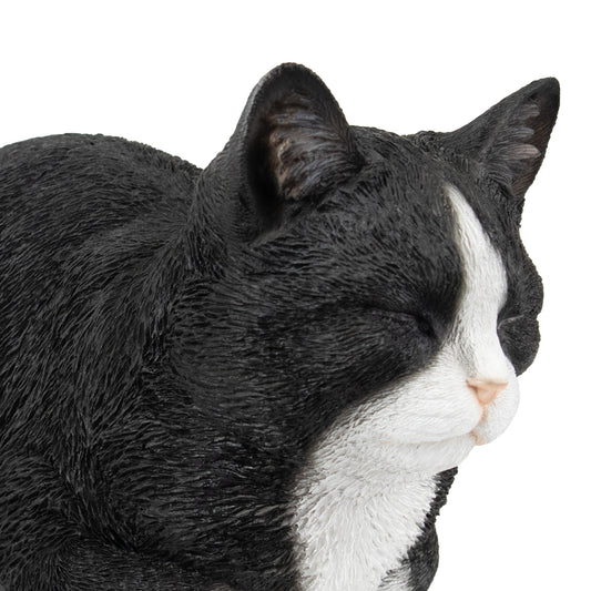 Dieren urn "Tuxedo kat", sluimeren