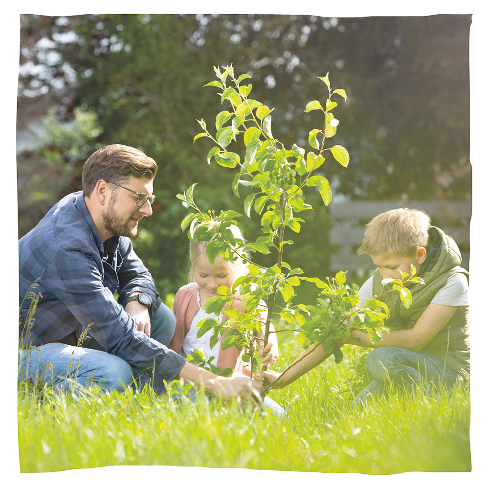 Biologisch afbreekbare dieren urn