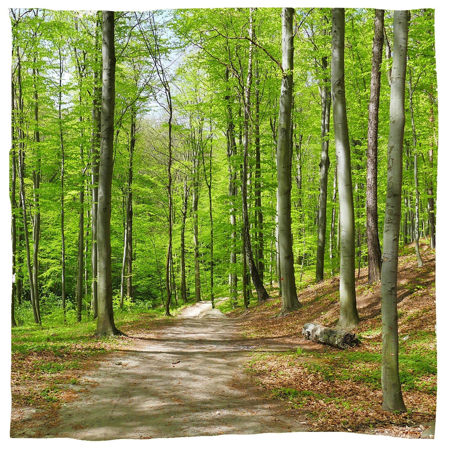 Strooi-urn voor huisdieren