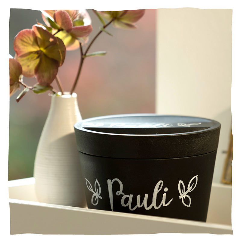 Biologisch afbreekbare dieren urn 'Pure' en jonge boom