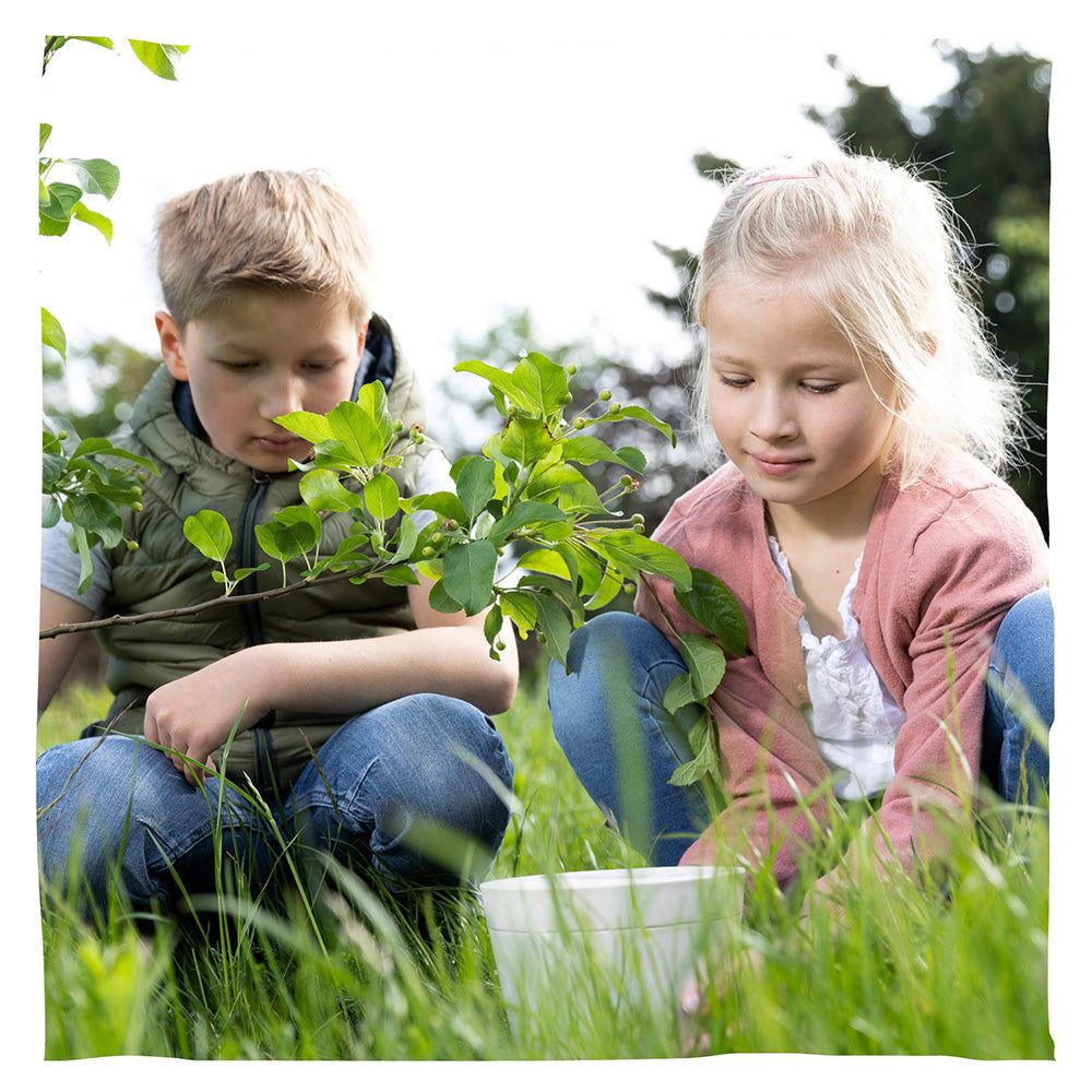 Biologisch afbreekbare dieren urn 'Pure' en jonge boom