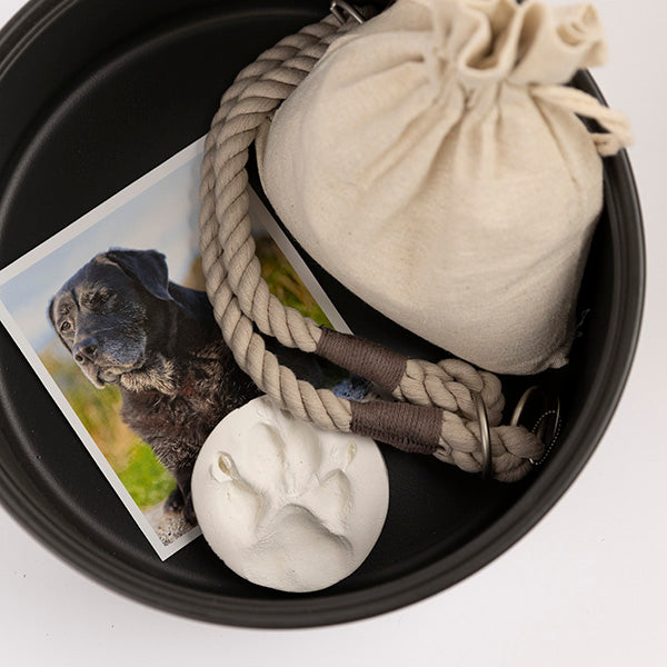 Tweedelige keramische Urn en Ginseng Bonsai (incl. linnen zak)