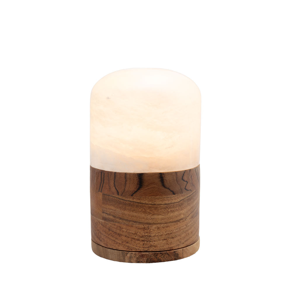 Dieren urn “Light of Memory” - albast en mango