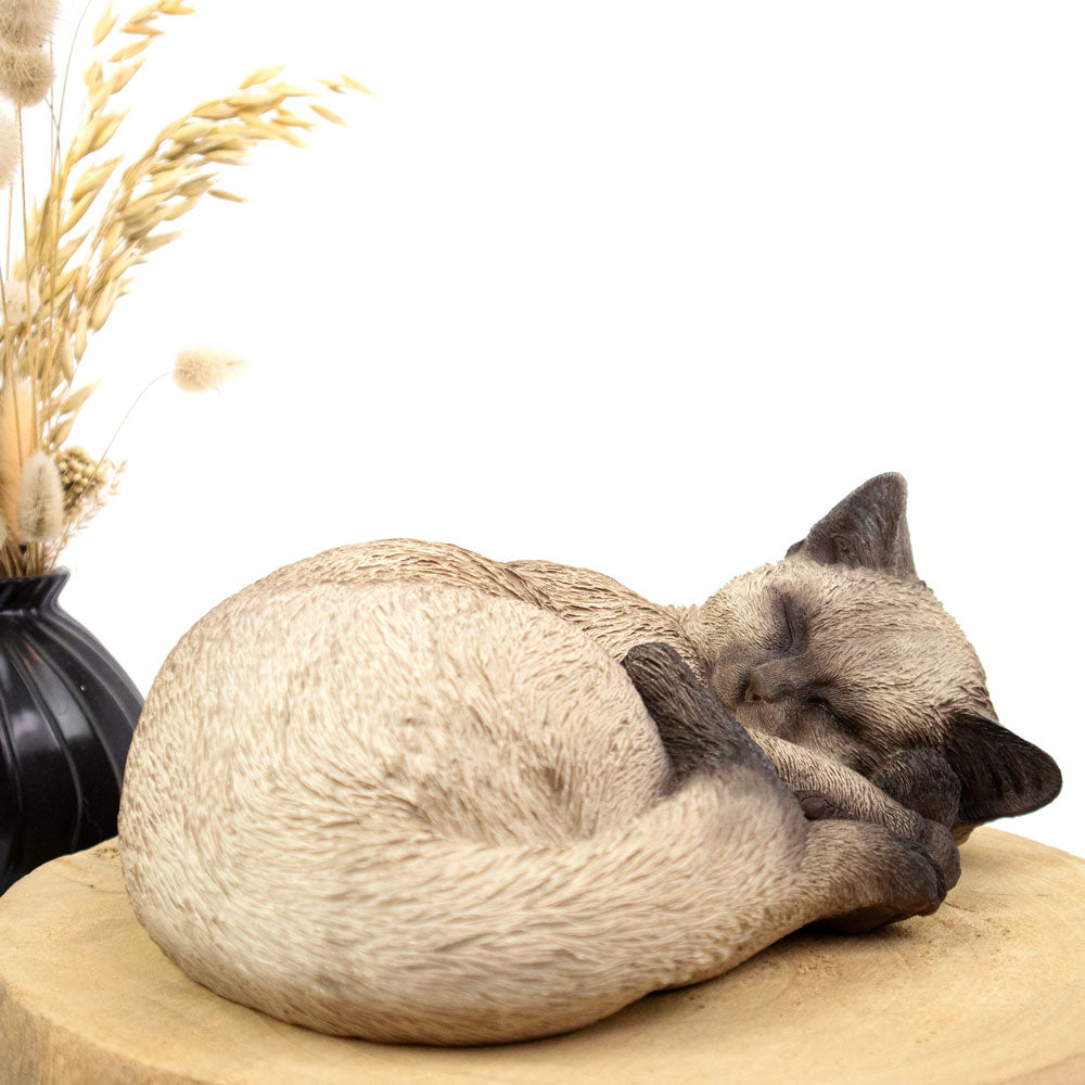 Dieren urn