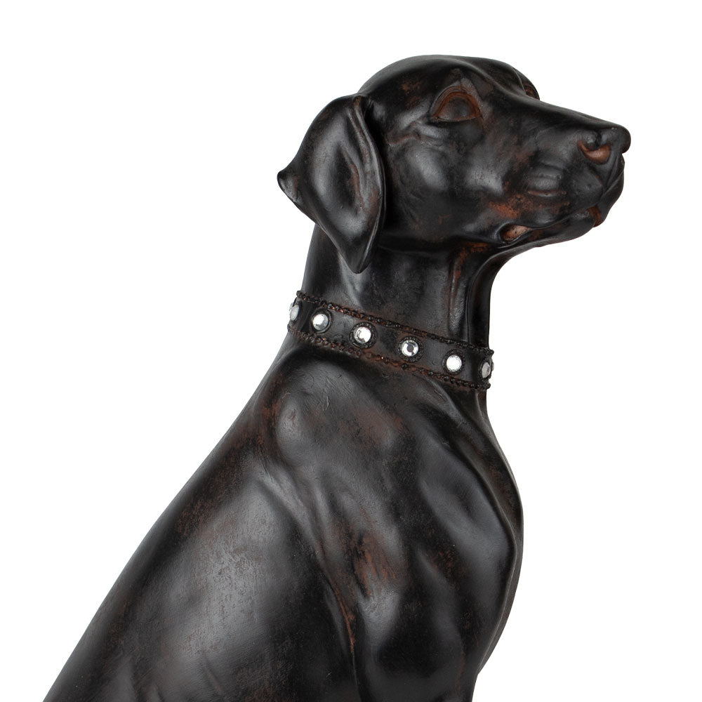 Dierenurn