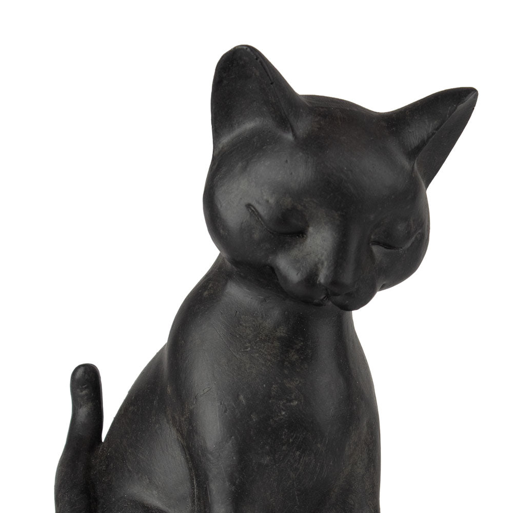 Dierenurn