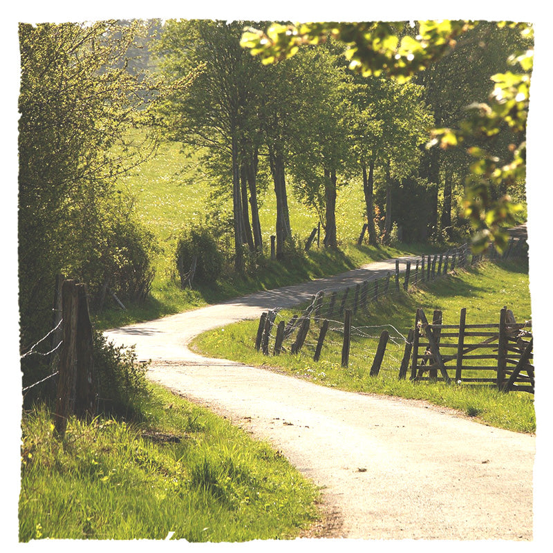 Strooi-urn voor huisdieren