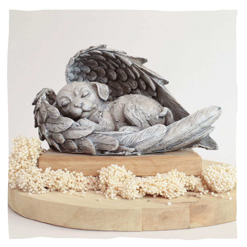 Dieren urn 