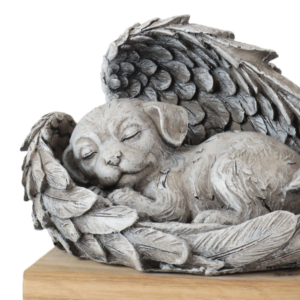 Dieren urn 