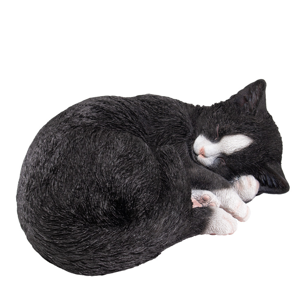 Dieren urn 