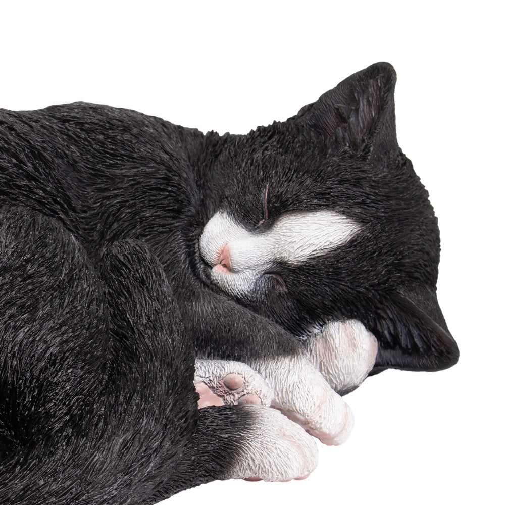 Dieren urn 