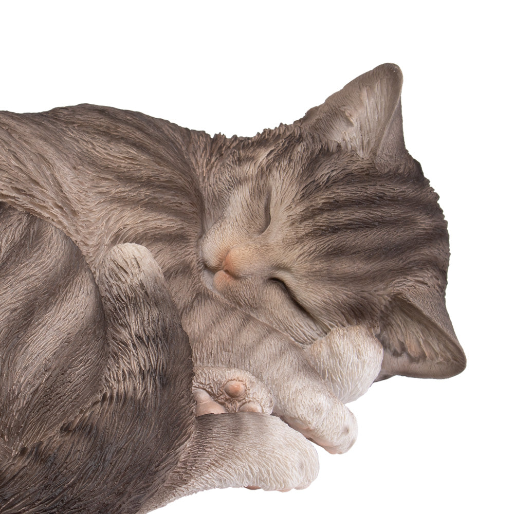 Dieren urn 