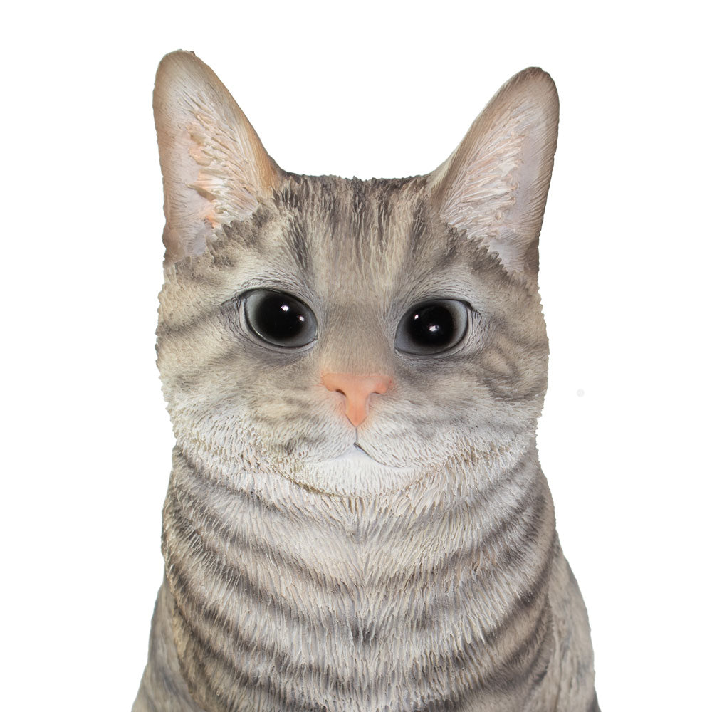 Dieren urn 