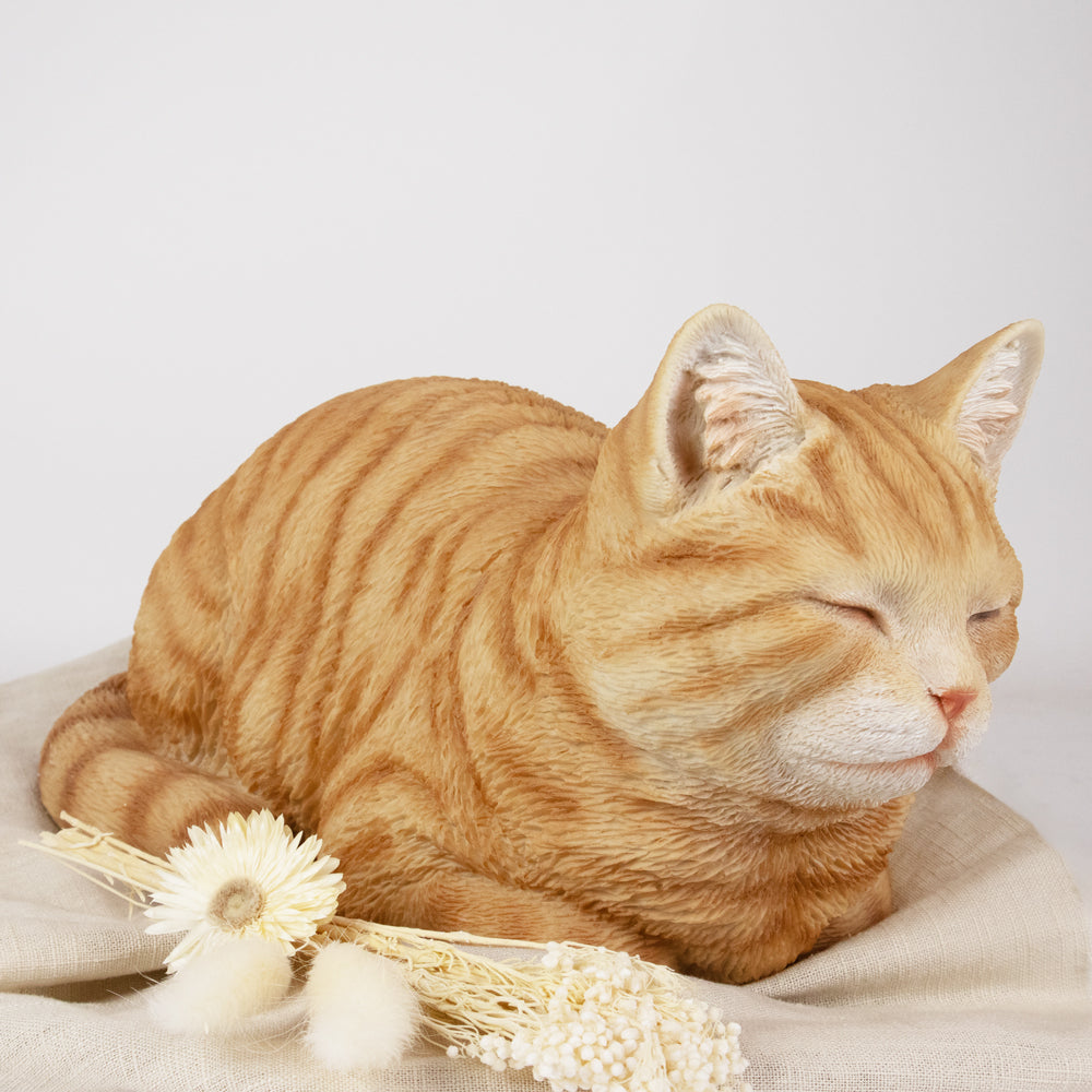 Dieren urn 