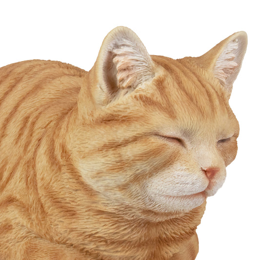 Dieren urn "Gemberkat", sluimerende