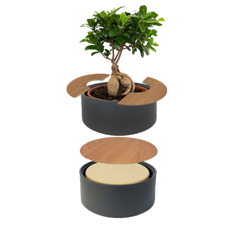 Tweedelige keramische Urn en Ginseng Bonsai (incl. linnen zak)