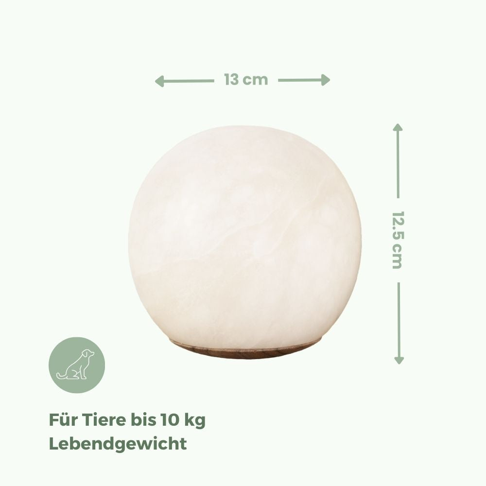 Albasten dieren urn 