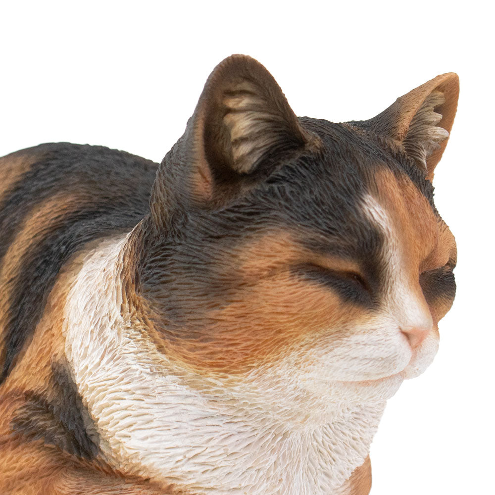 Dieren urn 