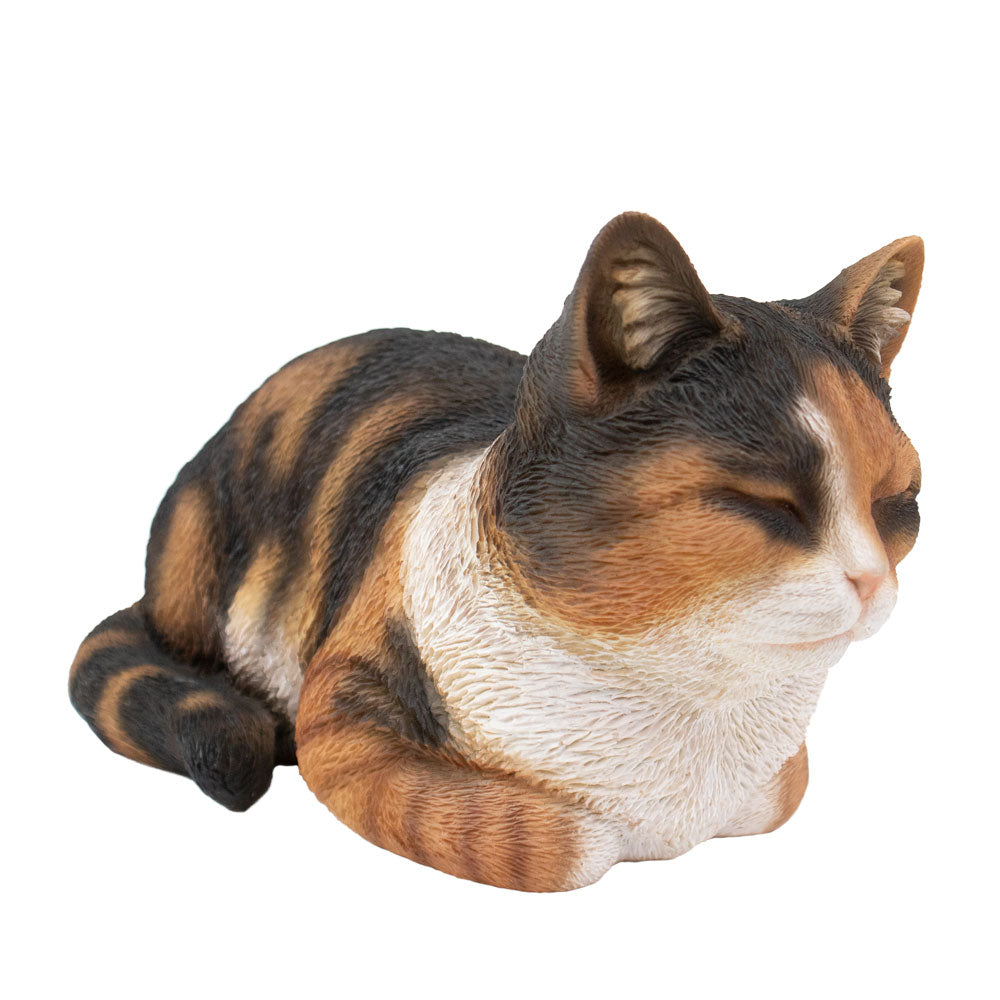 Dieren urn 