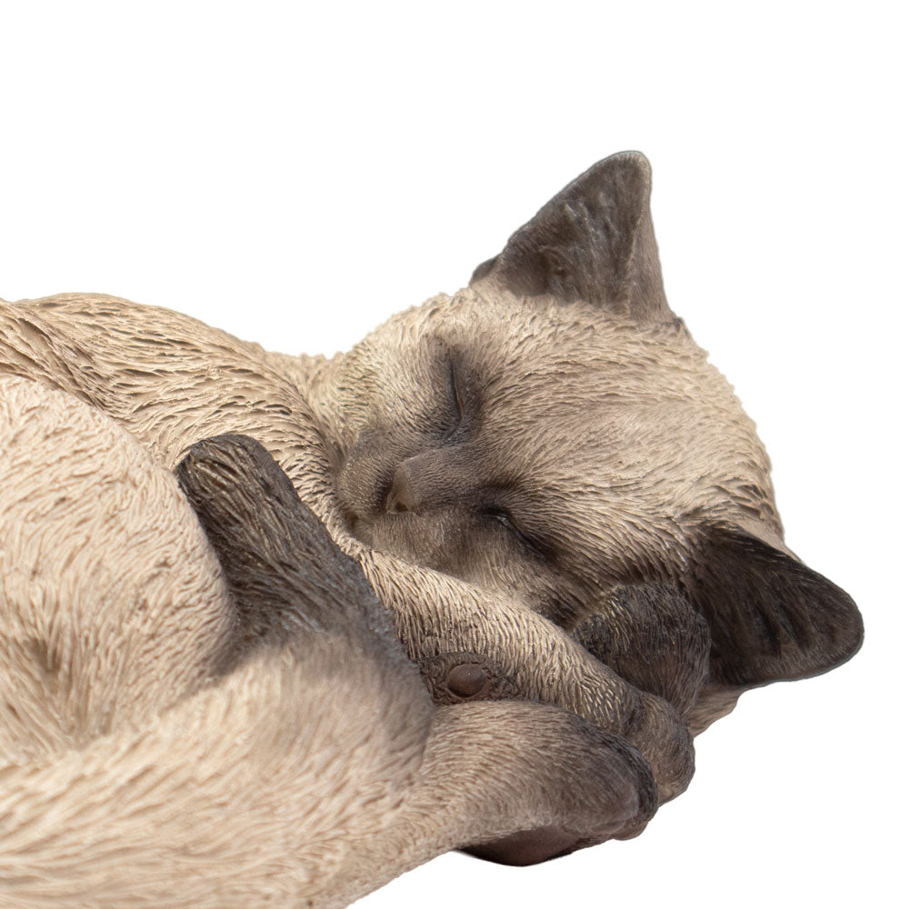 Dieren urn 