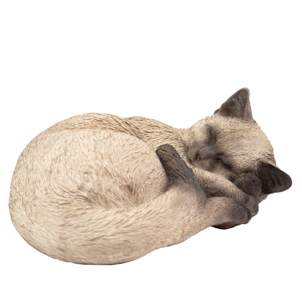 Dieren urn 