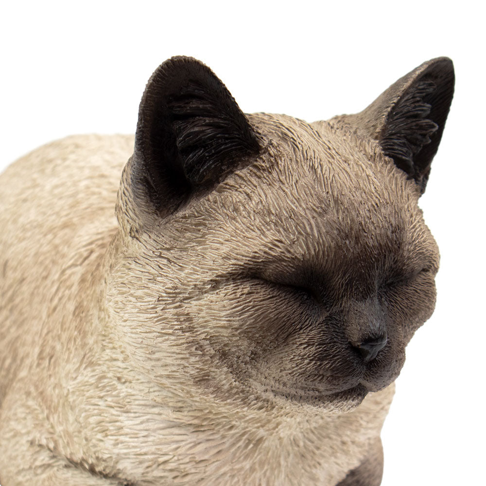 Dieren urn 