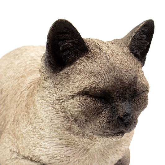 Dieren urn "Siamese kat", sluimerende