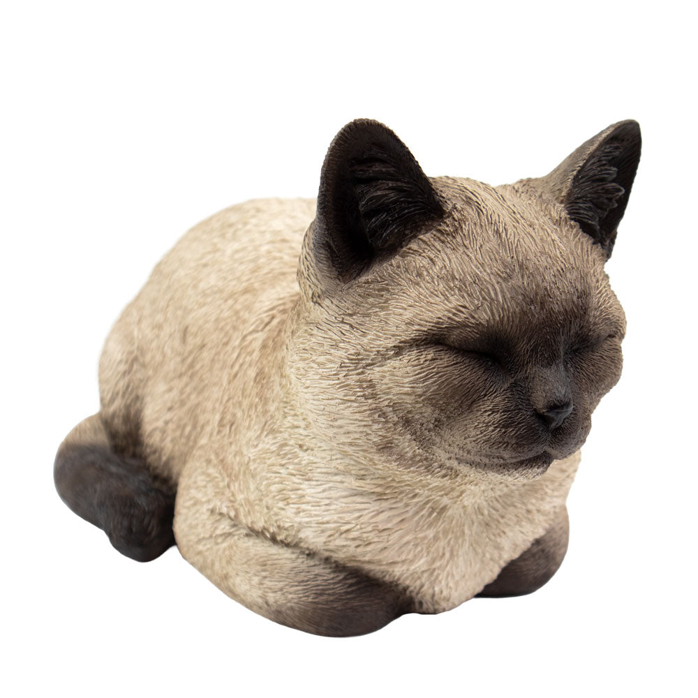 Dieren urn 
