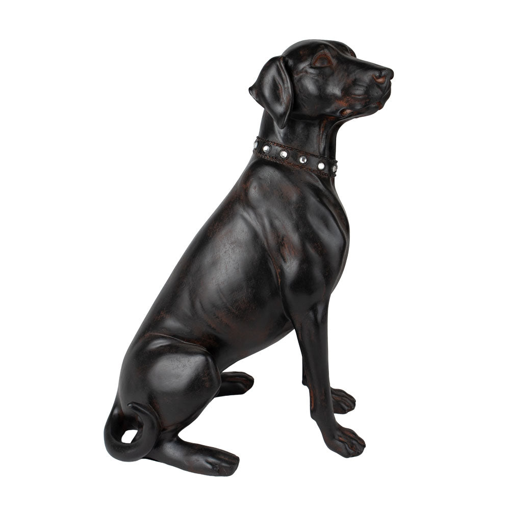 Dierenurn 