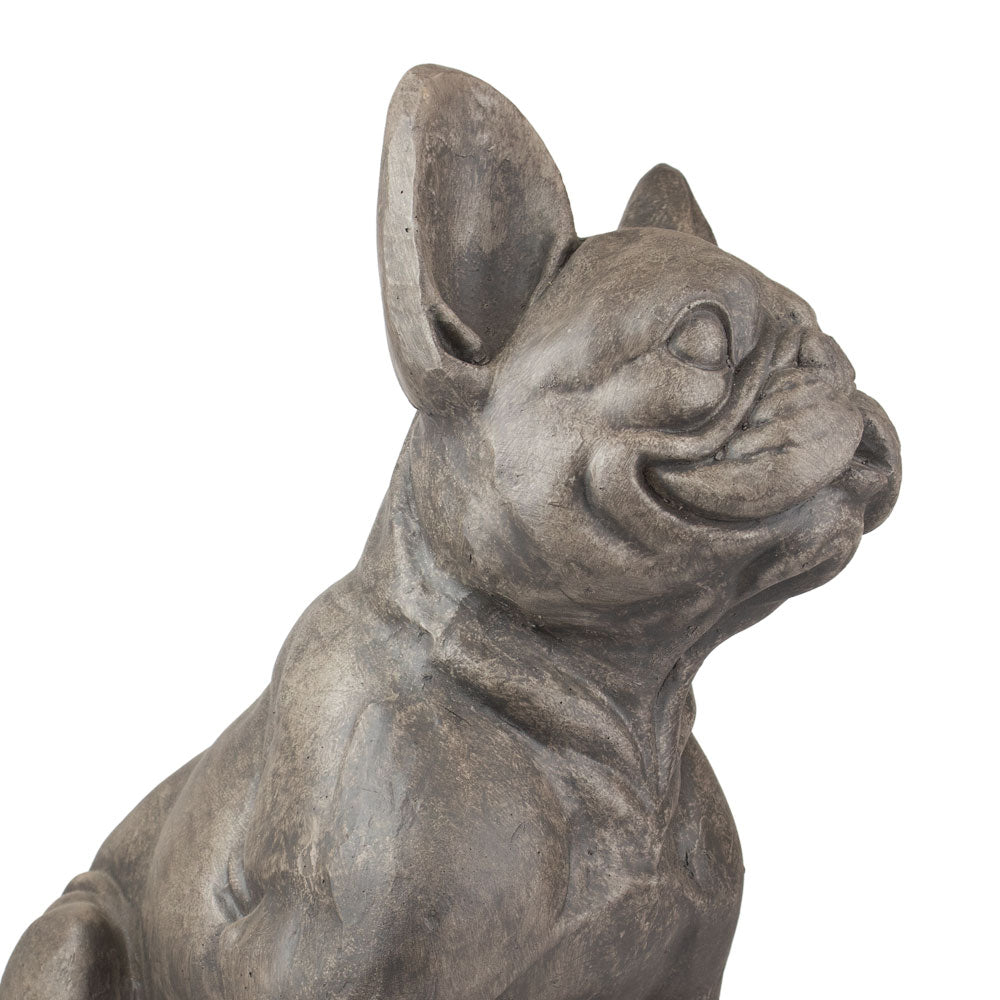Dierenurn 