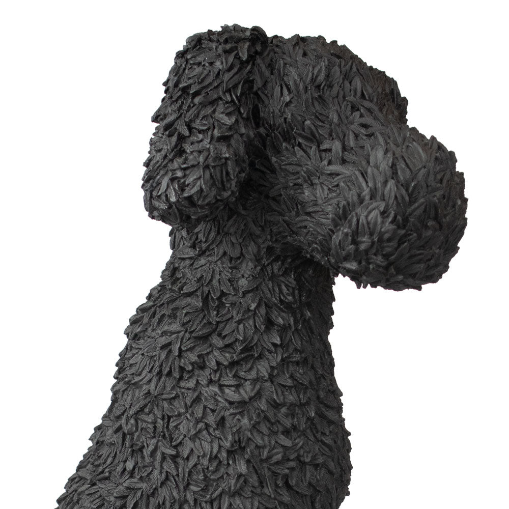 Dierenurn 