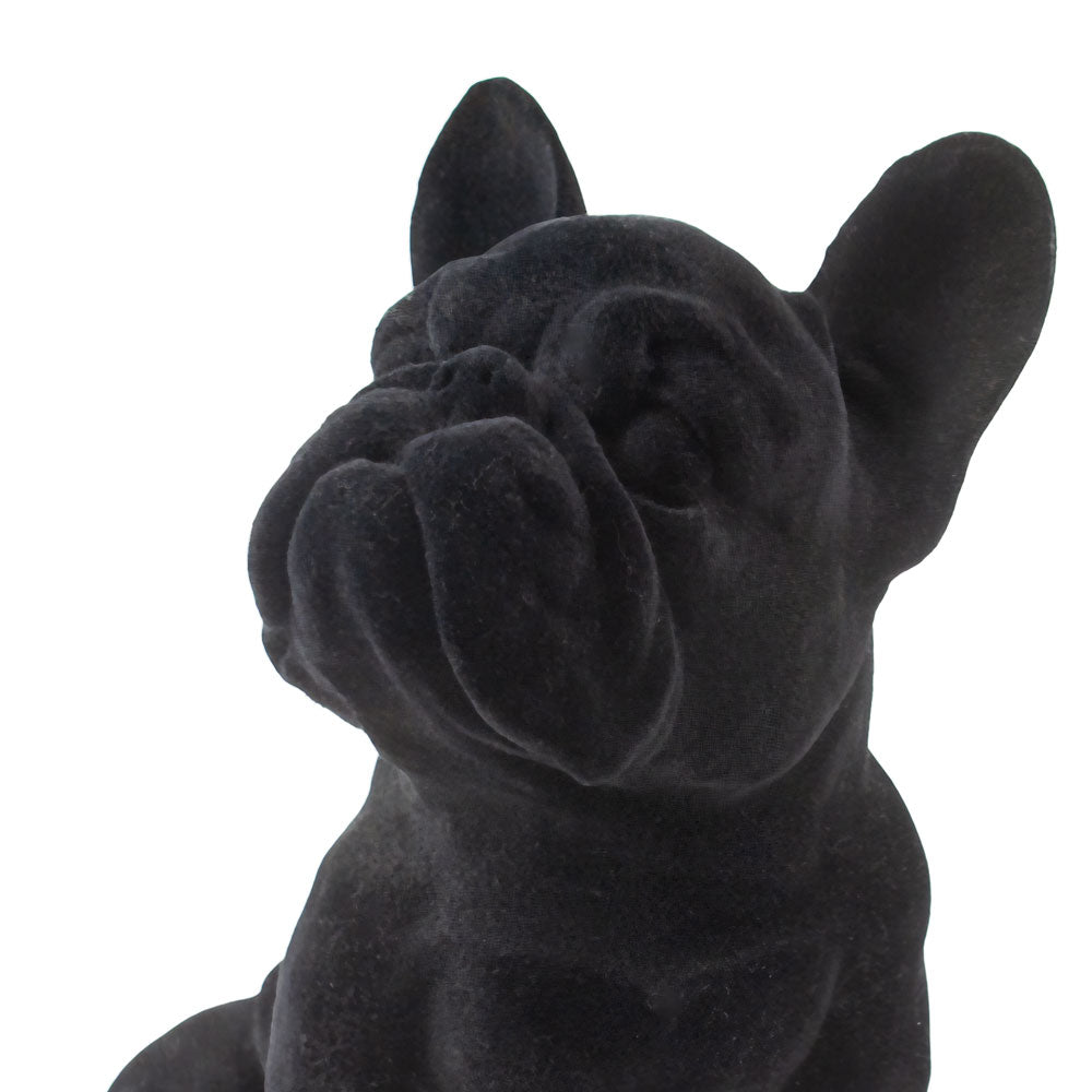 Dierenurn 